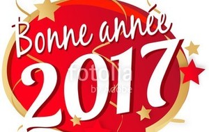 Bonne année 2017