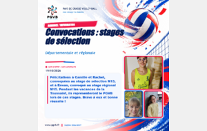 Stage de Selection
