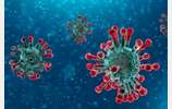Précautions Coronavirus