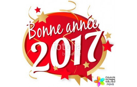 Bonne année 2017