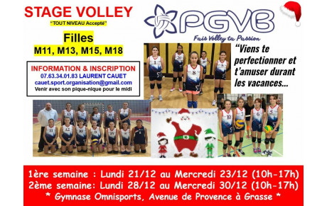 Stage volley de Noël