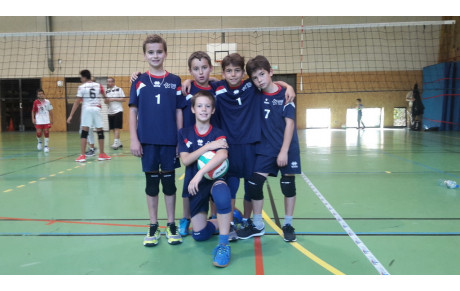 Poussins M11M